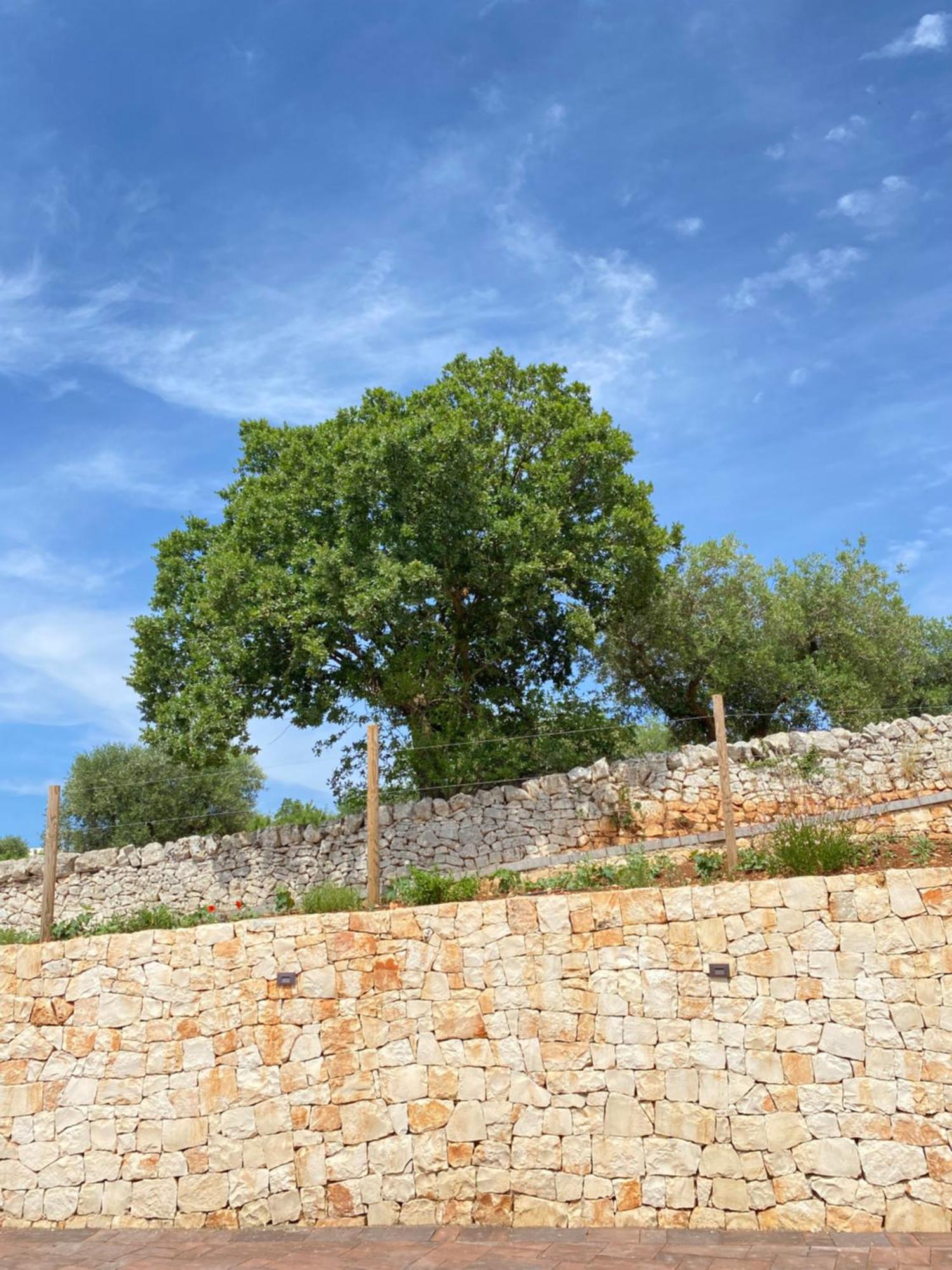 Trulli Mbs By Apulia Hospitality Apartment โลโกโรตอนโด ภายนอก รูปภาพ