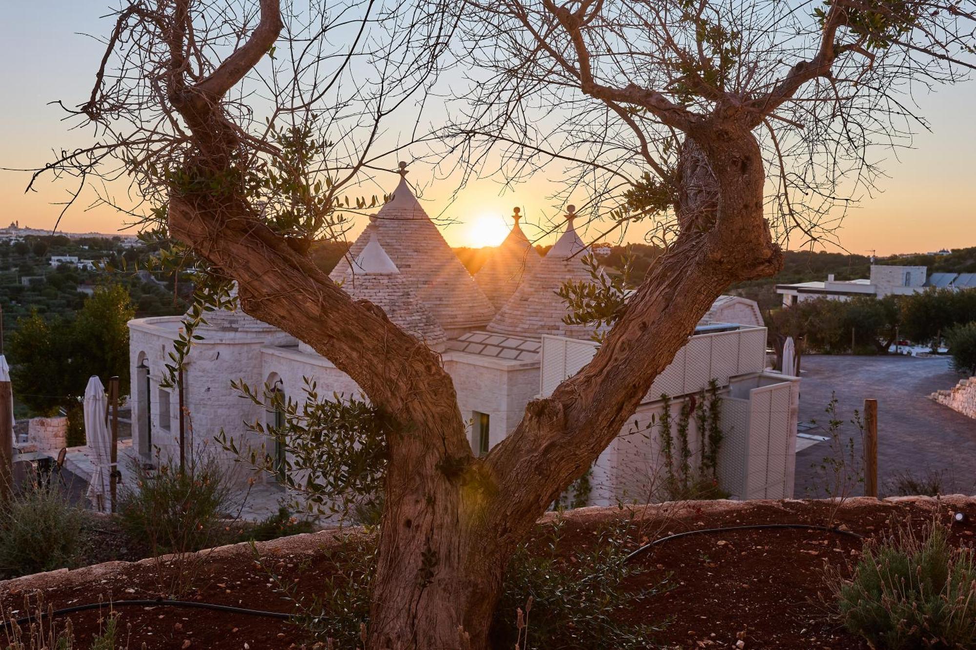 Trulli Mbs By Apulia Hospitality Apartment โลโกโรตอนโด ภายนอก รูปภาพ